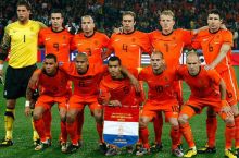 Ван дер Виль не попал в предварительную заявку сборной Голландии на ЧМ-2014