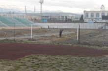 “Зомин" стадионининг чими янгиланмоқда
