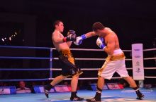 Olamsport.com: Russian Boxing Team vs Uzbek Tigers жанглари бўлиб ўтди