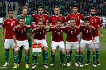 Бернд Шторк огласил предварительную заявку сборной Венгрии на Евро-2016
