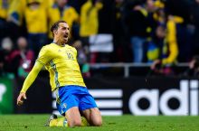 Какой будет Швеция на Евро 2016