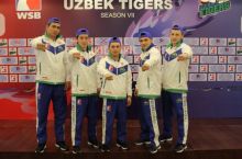 Bugun Toshkentda “Uzbek Tigers” - “Patriot Boxing Team" jangi bo'lib o'tadi