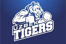 Olamsport: "Uzbek Tigers" viloyatda uch kun ichida ikkita jang o'tkazadi, chempion bilan bir xil ochko to'plagan sportchimiz to'rtinchi bo'ldi 