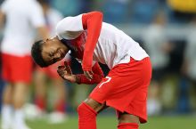 На матче Англии и Туниса произошло нашествие мошкары и саранчи (+ФОТО)