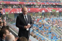 Путин не посетит матч России с Испанией