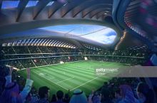 Катар вырастит уникальное покрытие для ЧМ-2022
