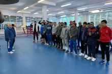 Olamsport: Olimpiada chempioni Fyuriga yordam beradi, bokschilarimiz JCH oldidan yig'in o'tkazishmoqda