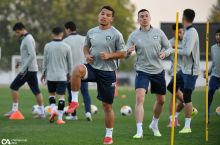 Ўзбекистон терма жамоаси эртадан йиғинга киришади